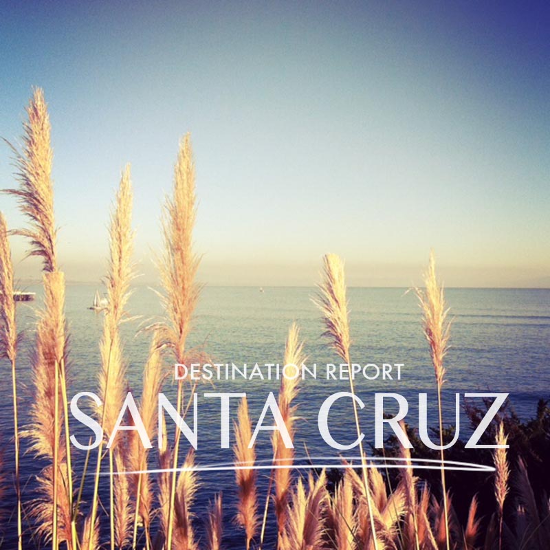Mr Essentialist: Santa Cruz