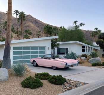 Postcard from Palm Springs